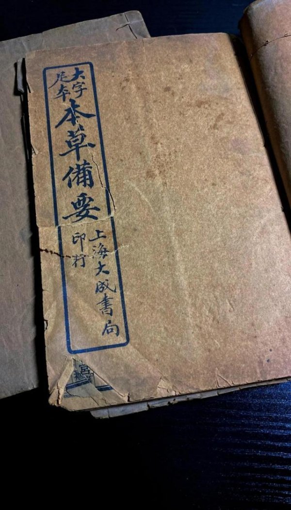 从一颗枸杞到一片沙漠，我们在这里找到了“轻松”