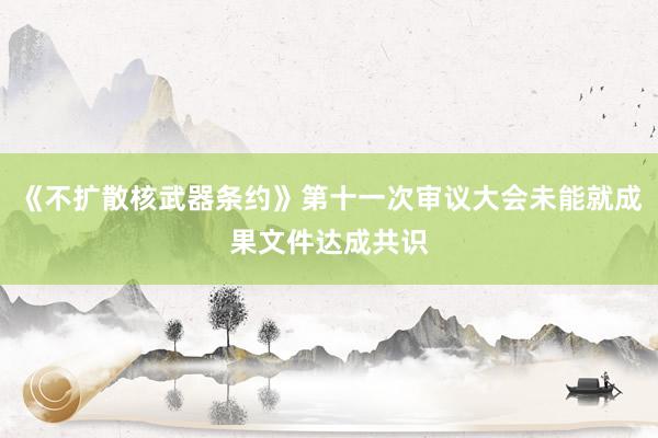 《不扩散核武器条约》第十一次审议大会未能就成果文件达成共识