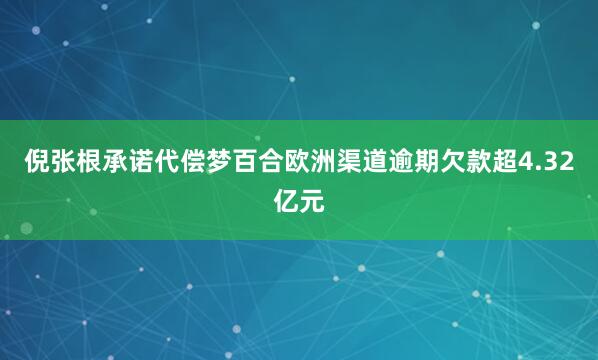 倪张根承诺代偿梦百合欧洲渠道逾期欠款超4.32亿元