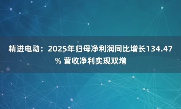 精进电动：2025年归母净利润同比增长134.47% 营收净利实现双增