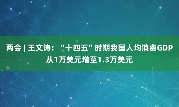 两会 | 王文涛：“十四五”时期我国人均消费GDP从1万美元增至1.3万美元