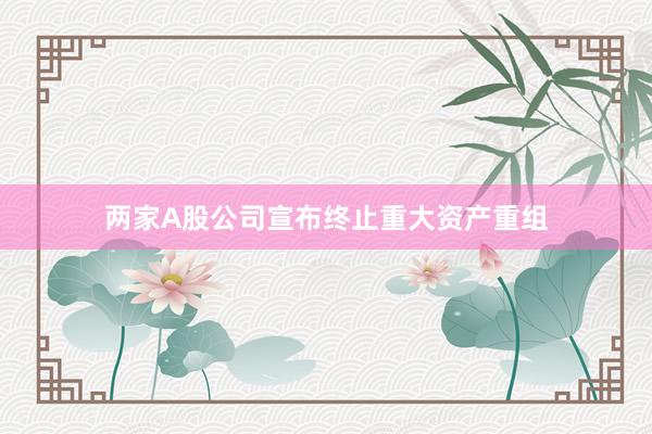 两家A股公司宣布终止重大资产重组