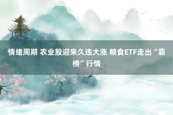 情绪周期 农业股迎来久违大涨 粮食ETF走出“霸榜”行情